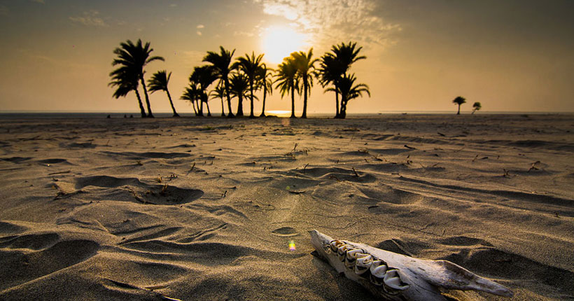 Nijhum Island